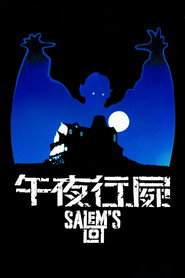 撒冷镇 封面