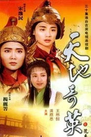 天地奇英花木兰 封面