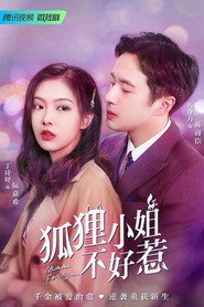 狐狸小姐不好惹 封面