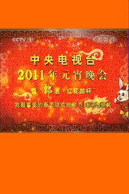 2011年中央电视台元宵晚会 封面