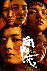 向阳·花 封面