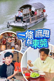 一条麻甩在东莞 封面