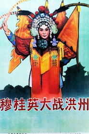 穆桂英大战洪州 封面