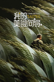 我的美食向导 封面