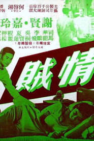 情贼 封面