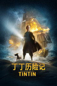 丁丁历险记 封面
