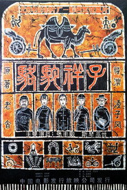 骆驼祥子 封面