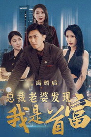 离婚后,总裁老婆发现我是首富 封面