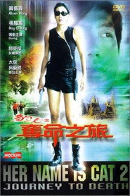 豹女之夺命之旅 封面