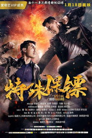 特殊保镖 封面