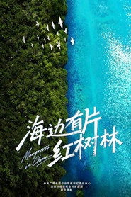 海边有片红树林 封面
