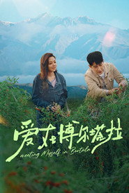 爱在博尔塔拉 封面