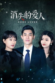 消失的爱人 封面