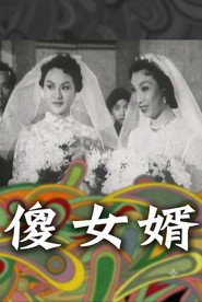 神經大姐戇姑爺 封面