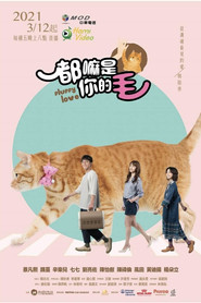 如果主子会说话 封面