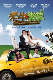 老牛与嫩草 封面