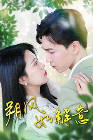 朔风如解意 封面