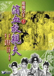 飛頭公主滴血救親夫 封面