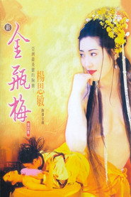 新金瓶梅4 封面