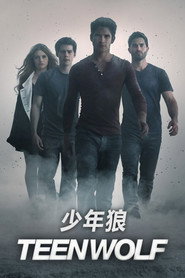 少狼 封面