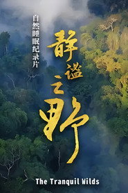 静谧之野 封面