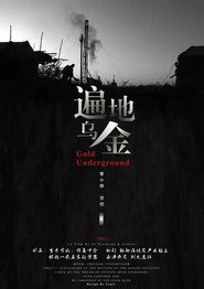 遍地乌金 封面