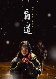 盲·道 封面