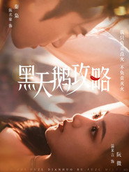 黑天鹅攻略 封面