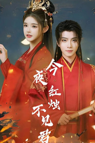 今夜红烛不见君 封面