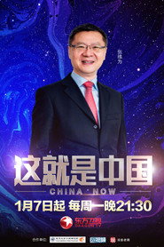 这就是中国 封面