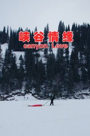 峡谷情缘 封面