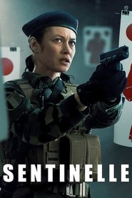 哨兵行动 封面