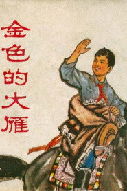 金色的大雁 封面