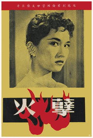 孽火 封面
