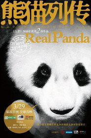熊猫列传 封面