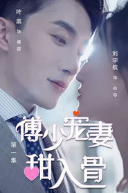 傅少宠妻甜入骨 封面