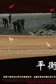 平衡 封面