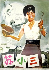 苏小三 封面