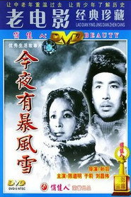 今夜有暴风雪 封面