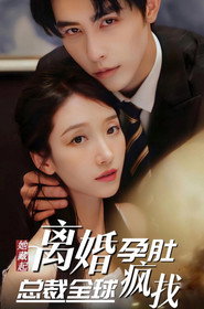 她藏起孕肚离婚,总裁全球疯找 封面