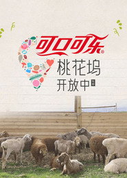 桃花坞开放中 封面