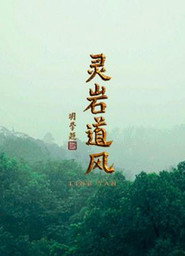 灵岩道风 封面