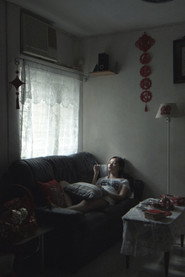 仙人掌 封面