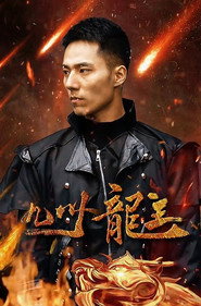 九州龙主 封面