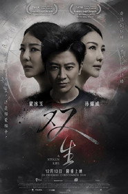 A Stolen Life 封面