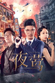夜莺 封面