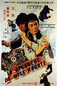 山東大姐 封面