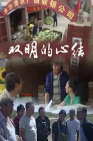 双明的心结 封面