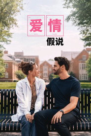 爱情假说 封面