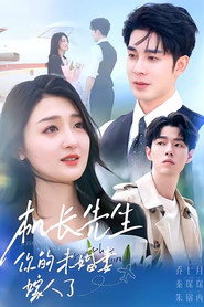机长先生,你的未婚妻嫁人了 封面